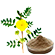 component